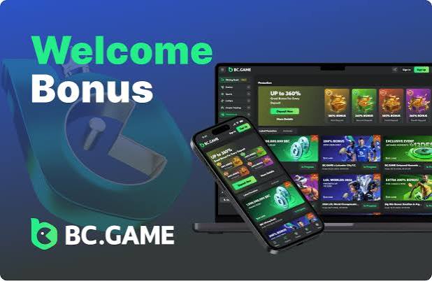 The Future of Business Management with BC Platform App